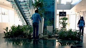 fabrika alanı temizlik