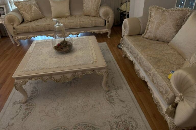 Kedi Ev Temizligi Kedili Ev Temizliği