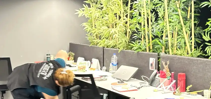 periyodik-temizlik-sirketi Daimi ofis temizliği